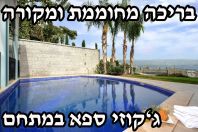 ���� ���� �������